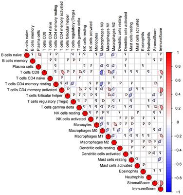 Immune subtype identification and multi-layer perceptron classifier construction for breast cancer
